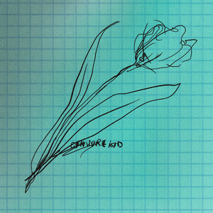 小俊┅┅快┅┅用
