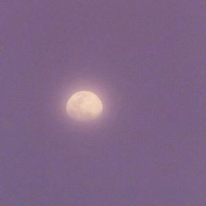 小俊┅┅快┅┅用
